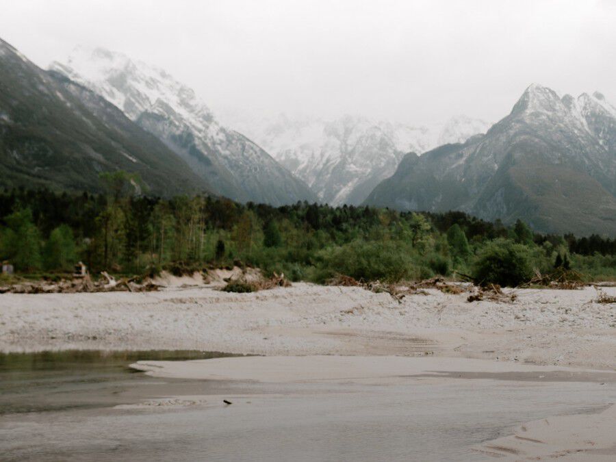 Women Hoodies & jumpers